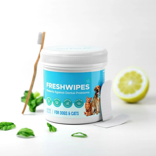 ערכת מגבונים- מגן מפני מחלות שיניים