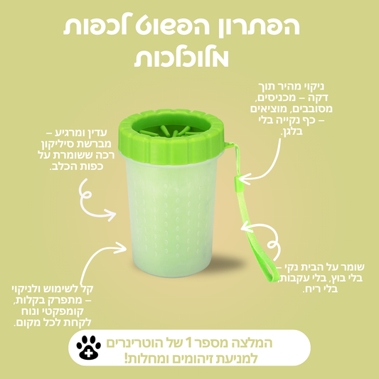 פאו קלין
