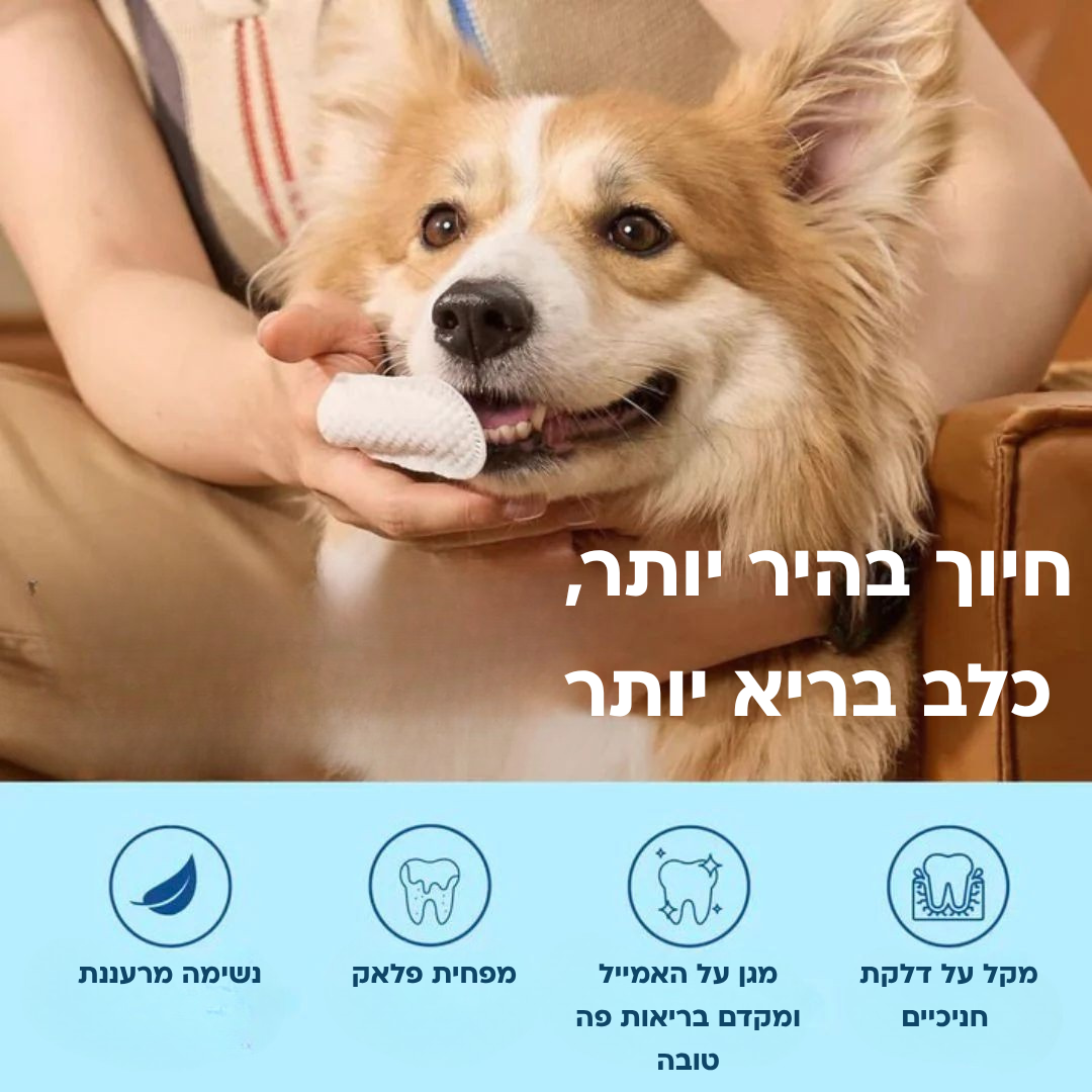 ערכת מגבונים- מגן מפני מחלות שיניים