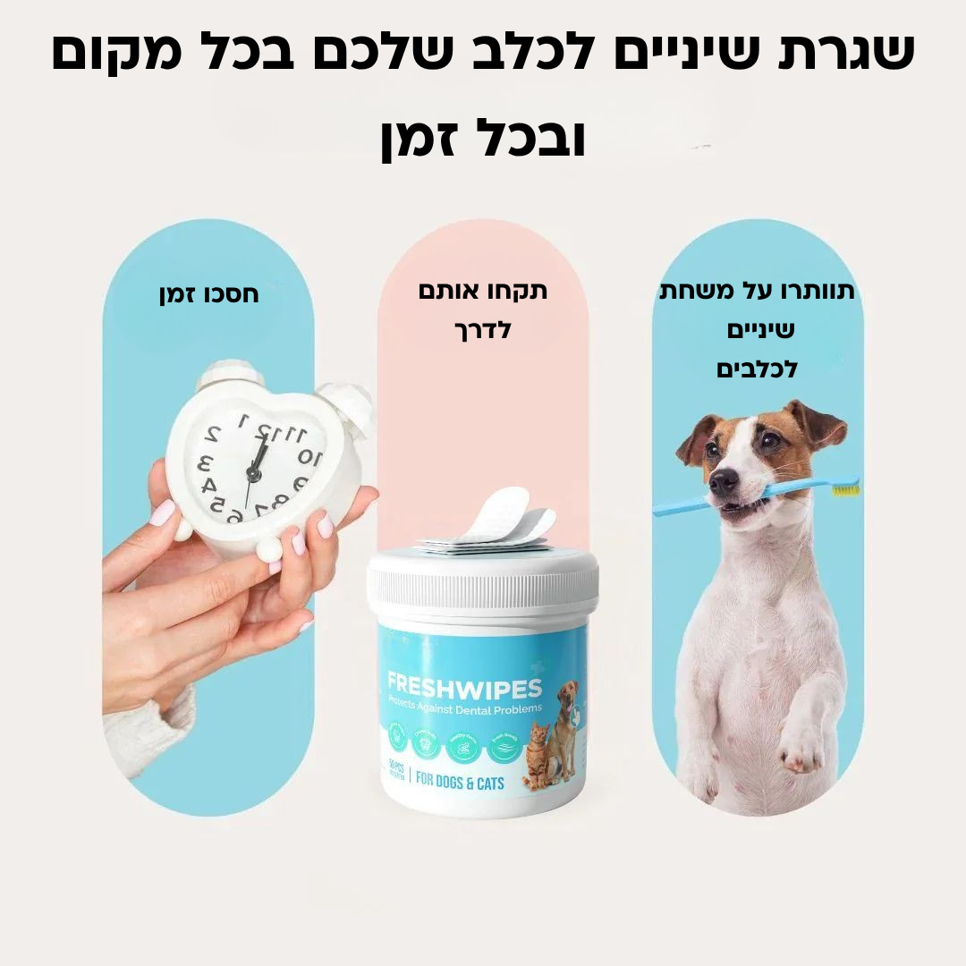 ערכת מגבונים- מגן מפני מחלות שיניים