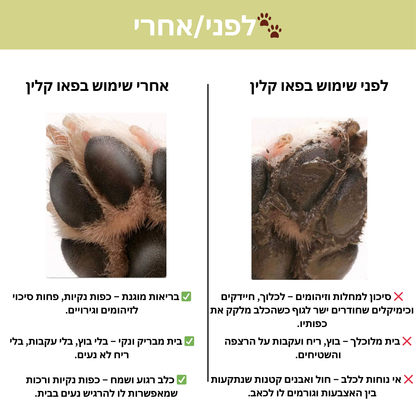 פאו קלין