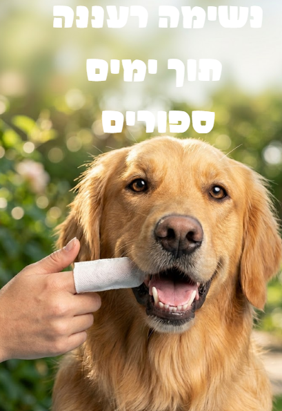 ספר דיגיטלי- נשימה רעננה תוך ימים ספורים