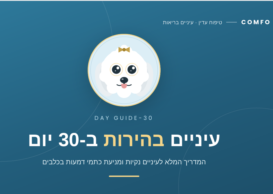 ספר דיגיטלי- עיניים בהירות ב30 יום