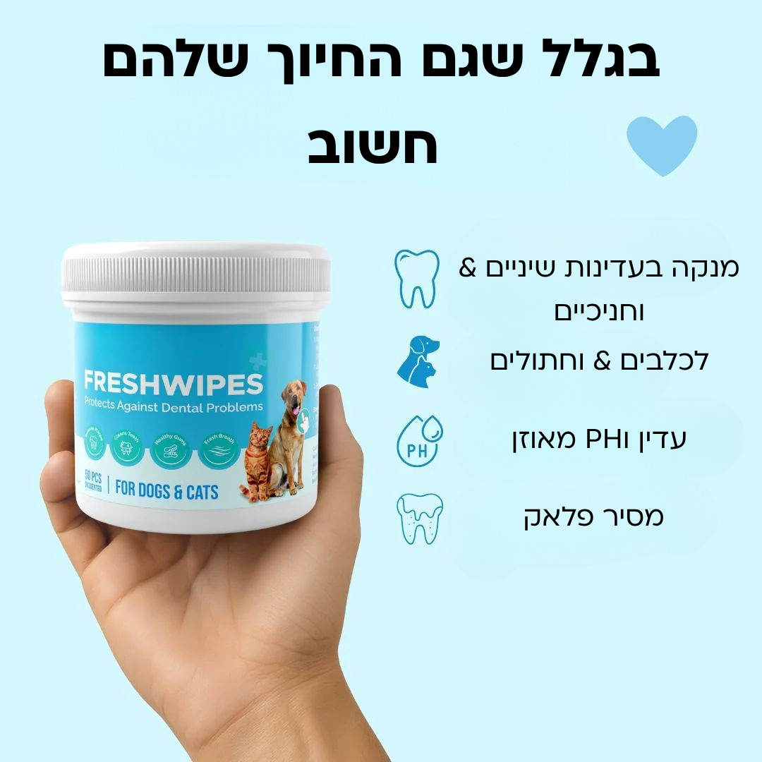 ערכת מגבונים- מגן מפני מחלות שיניים