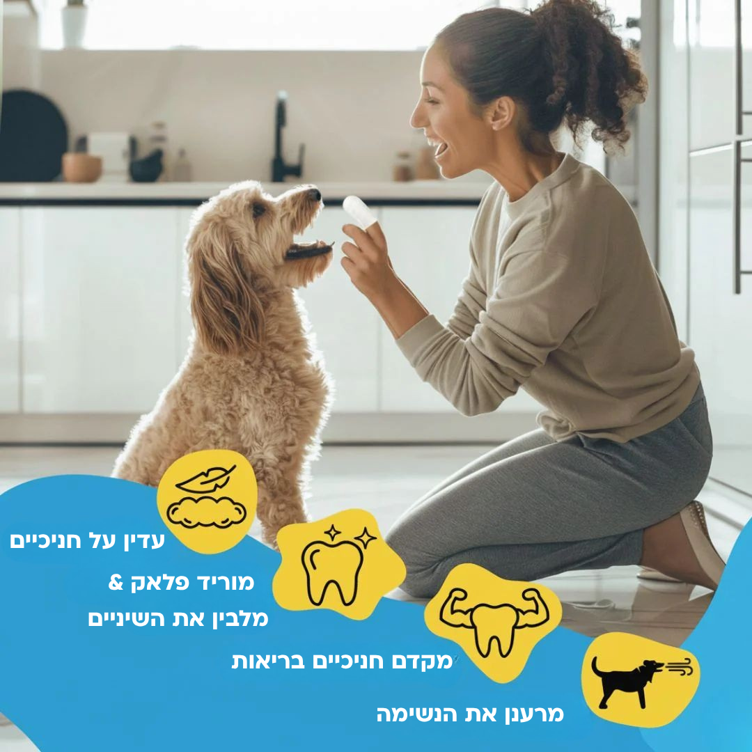 ערכת מגבונים- מגן מפני מחלות שיניים
