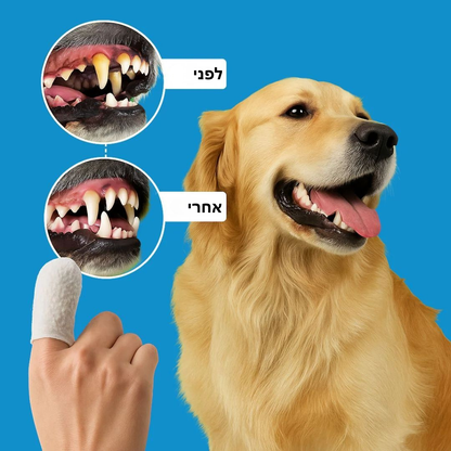 ערכת מגבונים- מגן מפני מחלות שיניים