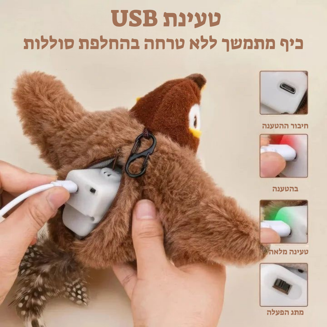 ציפור הציד מבית קומפו