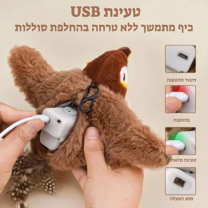 ציפור הציד מבית קומפו