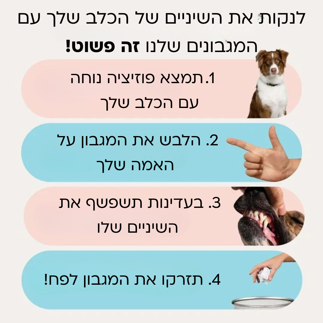 ערכת מגבונים- מגן מפני מחלות שיניים